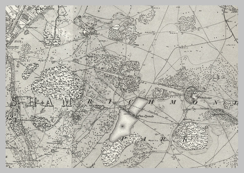 1870 South West London Ordnance Survey Map