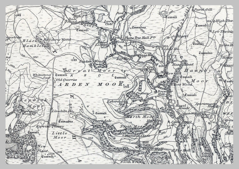 1850 Northallerton and Stockton-on-Tees Ordnance Survey Map