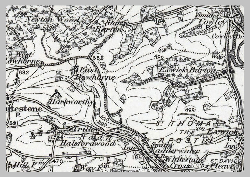 Exeter and Environs - Ordnance Survey of England and Wales 1870 Series