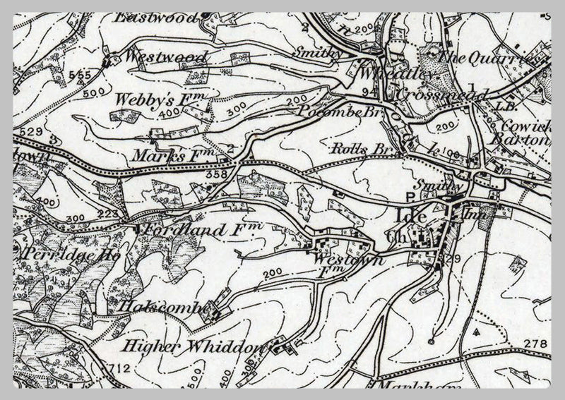 Exeter and Environs - Ordnance Survey of England and Wales 1870 Series