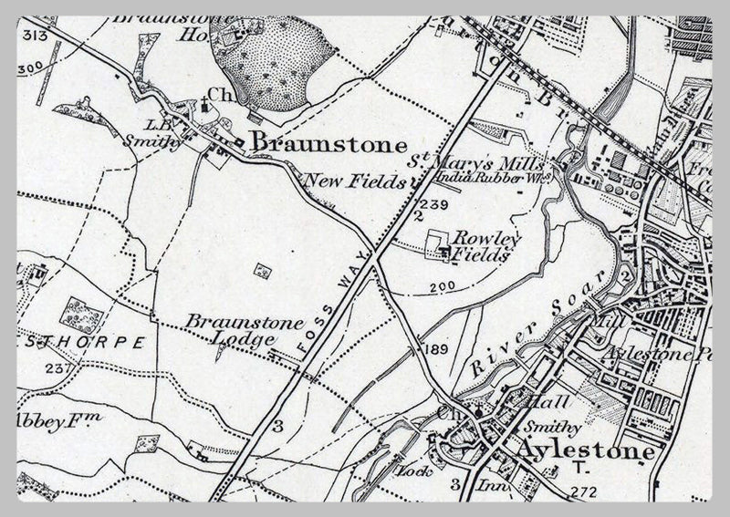 Leicester and Environs - Ordnance Survey of England and Wales 1870 Series