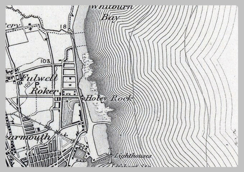 Sunderland and Environs - Ordnance Survey of England and Wales 1870 Series