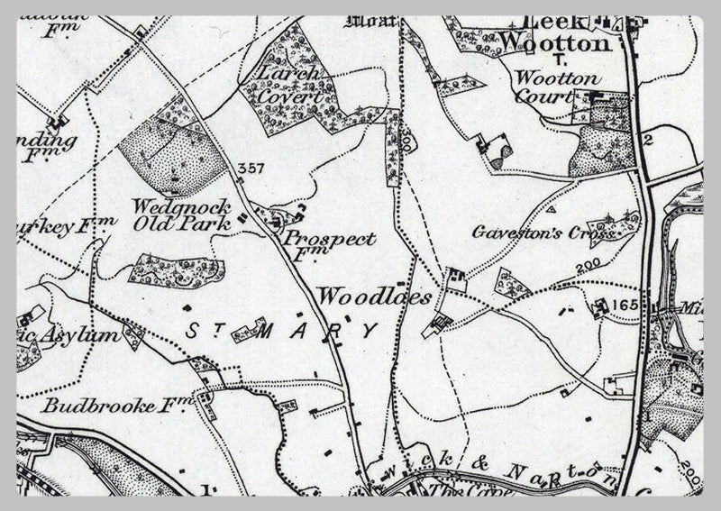 Warwick and Environs - Ordnance Survey of England and Wales 1870 Series