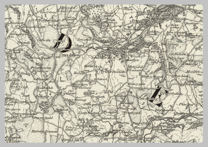 1890 Collection - Denbich (Rhyl) Ordnance Survey Map