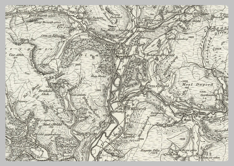 1890 Collection - Dinas (Mawddwy) Ordnance Survey Map