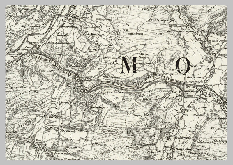 1890 Collection - Dinas (Mawddwy) Ordnance Survey Map