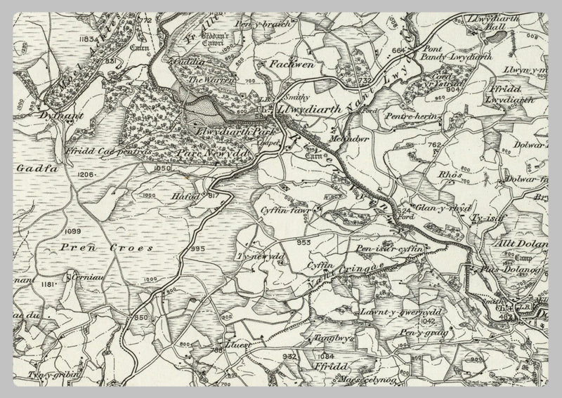 1890 Collection - Dinas (Mawddwy) Ordnance Survey Map
