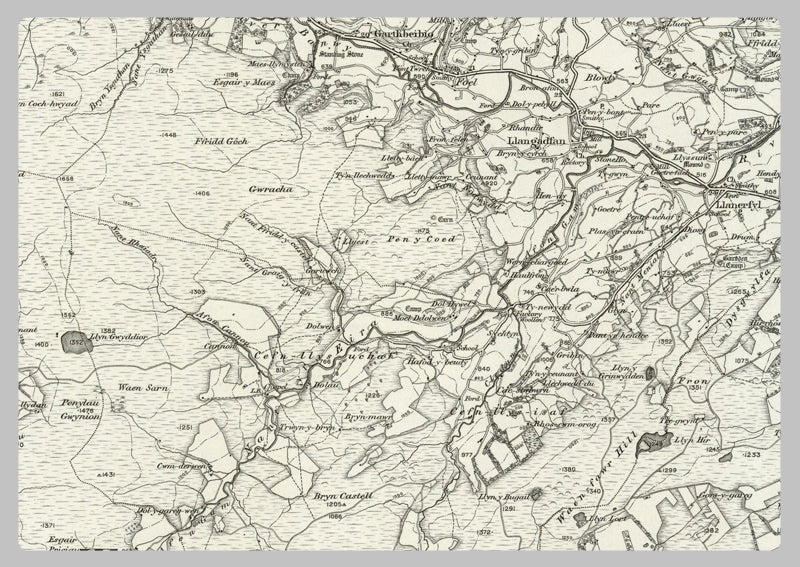 1890 Collection - Dinas (Mawddwy) Ordnance Survey Map