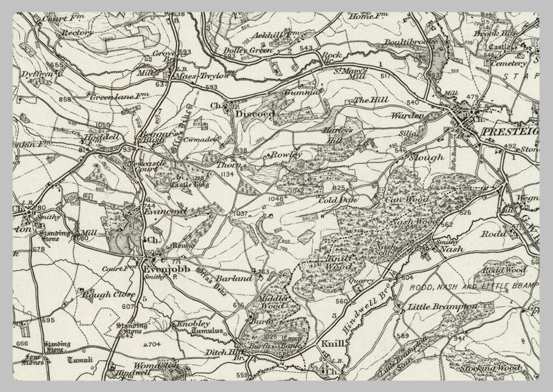 1890 Collection - Knighton (Montgomery) Ordnance Survey Map