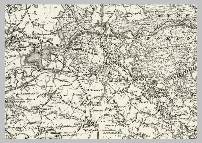 1890 Collection - Droitwich (Dudley) Ordnance Survey Map