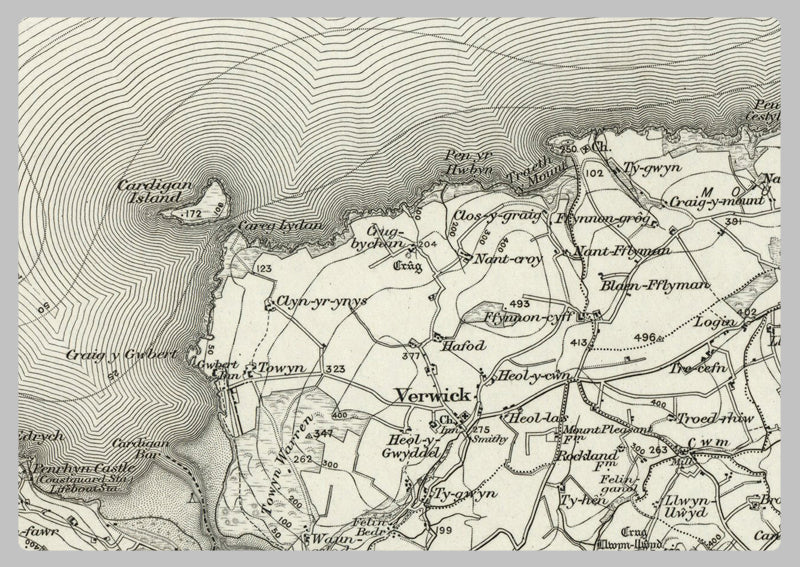 1890 Collection - Cardigan Ordnance Survey Map