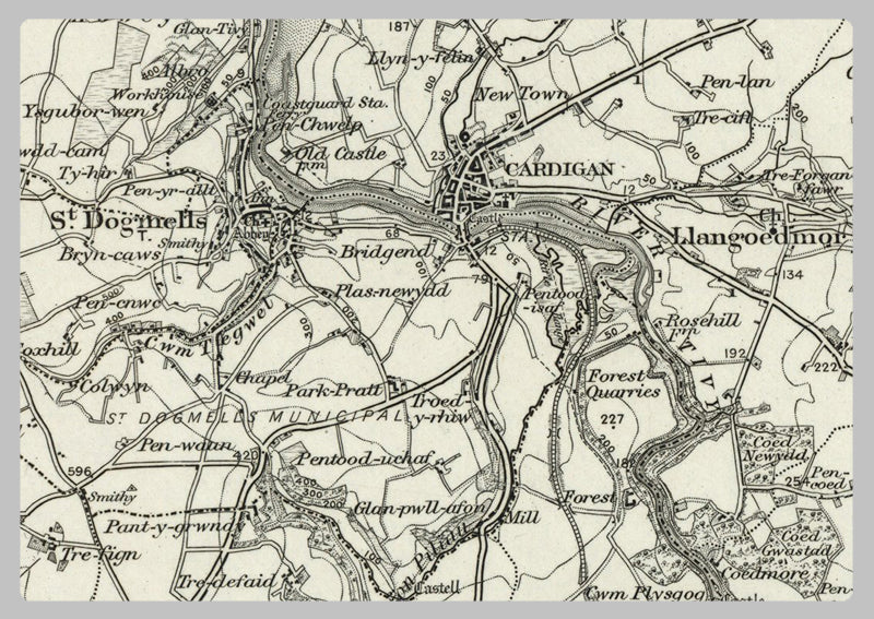 1890 Collection - Cardigan Ordnance Survey Map