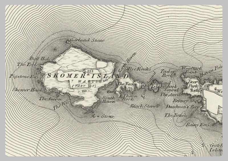 1890 Collection - Milford (St David's) Ordnance Survey Map