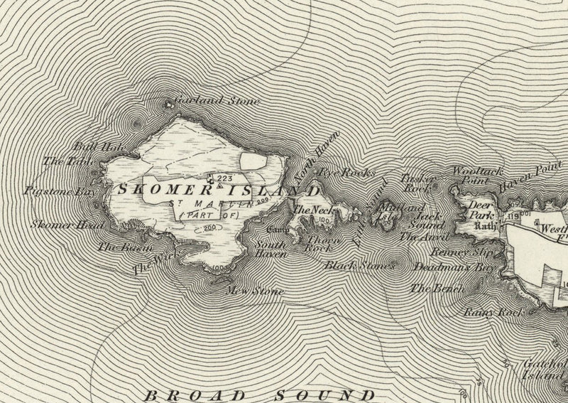 1890 Collection - Milford (St David's) Ordnance Survey Map