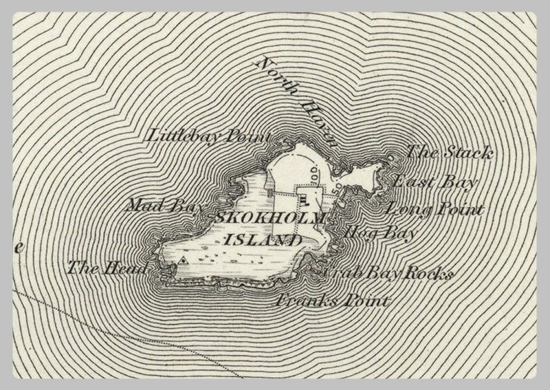 1890 Collection - Milford (St David's) Ordnance Survey Map