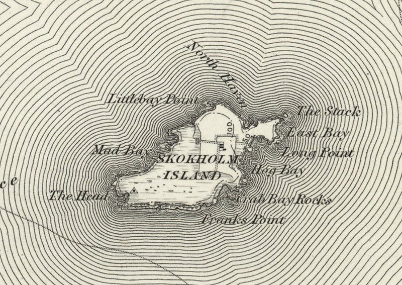 1890 Collection - Milford (St David's) Ordnance Survey Map