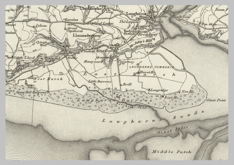 1890 Collection - Carmarthen (Newcastle Emlyn) Ordnance Survey Map