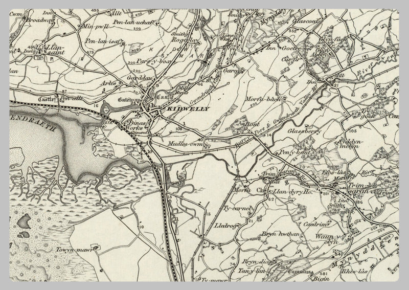 1890 Collection - Carmarthen (Newcastle Emlyn) Ordnance Survey Map