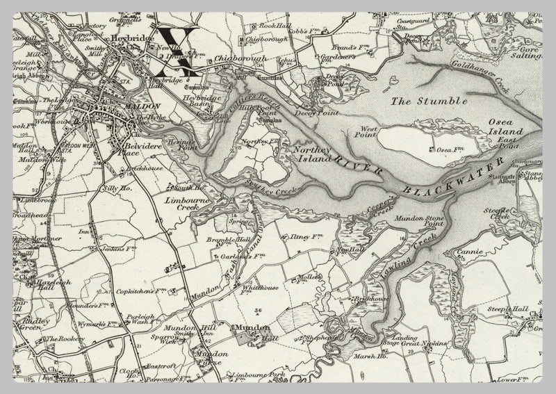 1890 Collection - Chelmsford (Braintree) Ordnance Survey Map
