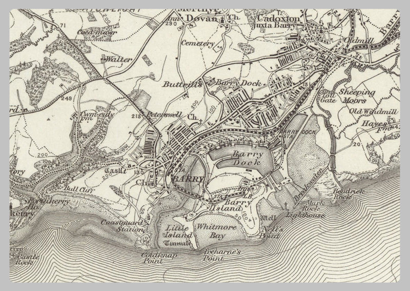 1890 Collection - Cardiff (Newport) Ordnance Survey Map
