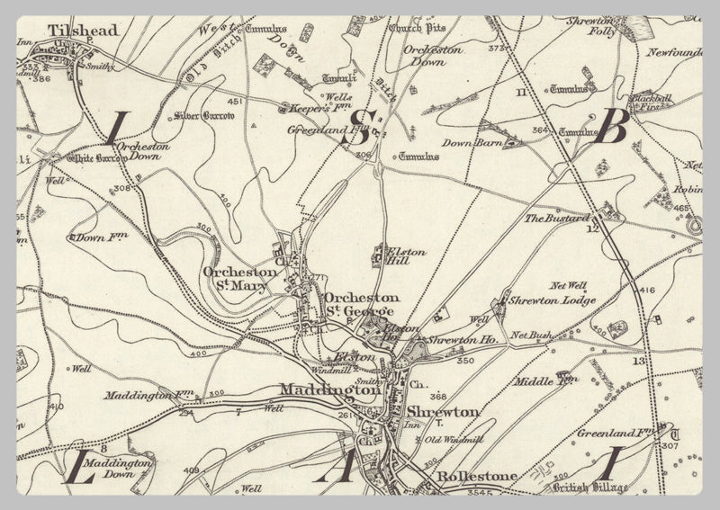 1890 Collection - Devizies (Malborough) Ordnance Survey Map
