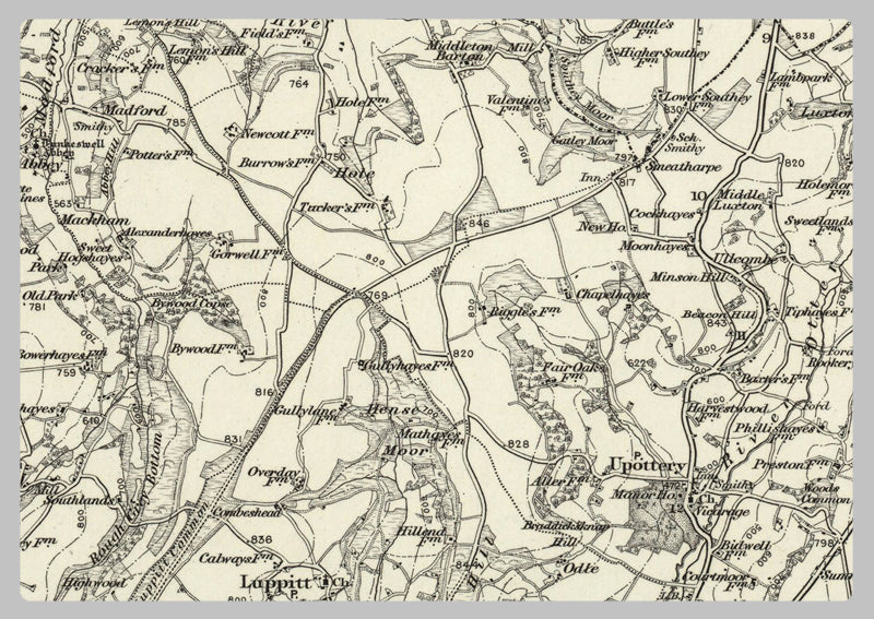 1890 Collection - Wellington (Taunton) Ordnance Survey Map