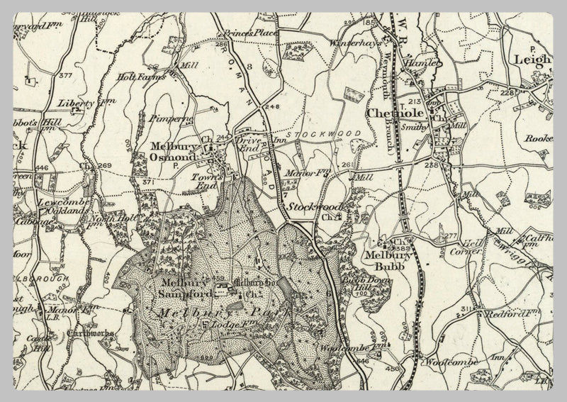 1890 Collection - Yeovil (Glastonbury) Ordnance Survey Map