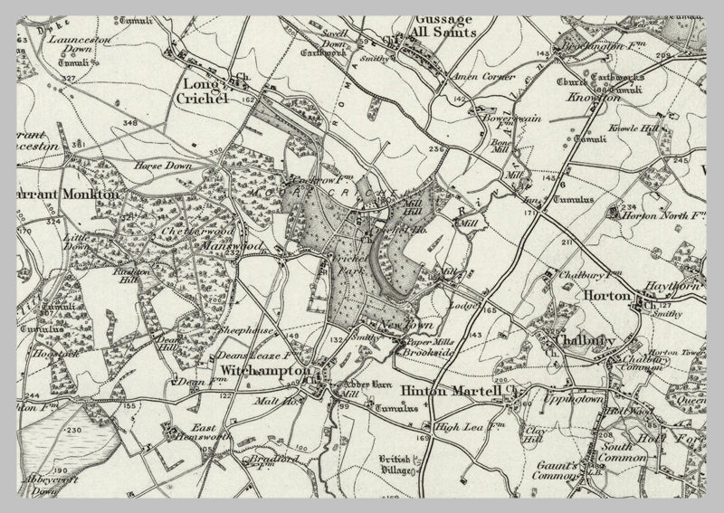 1890 Collection - Ringwood (Salisbury) Ordnance Survey Map