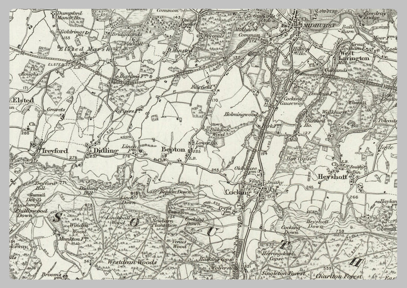 1890 Collection - Chichester (Haslemere) Ordnance Survey Map