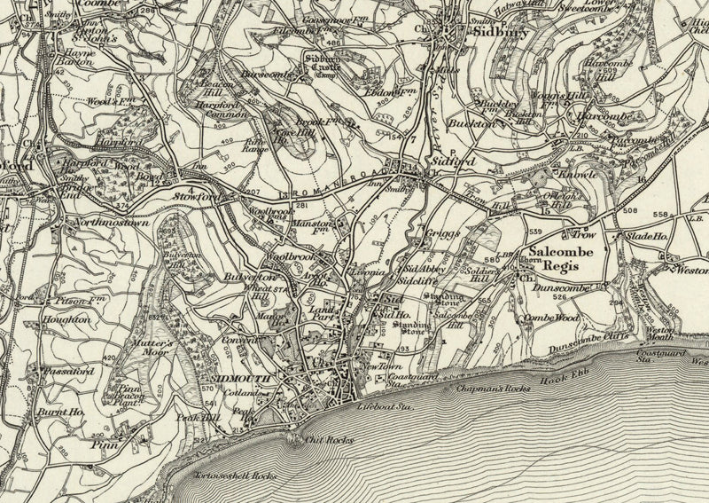 1890 Collection - Sidmouth (Wellington) Ordnance Survey Map