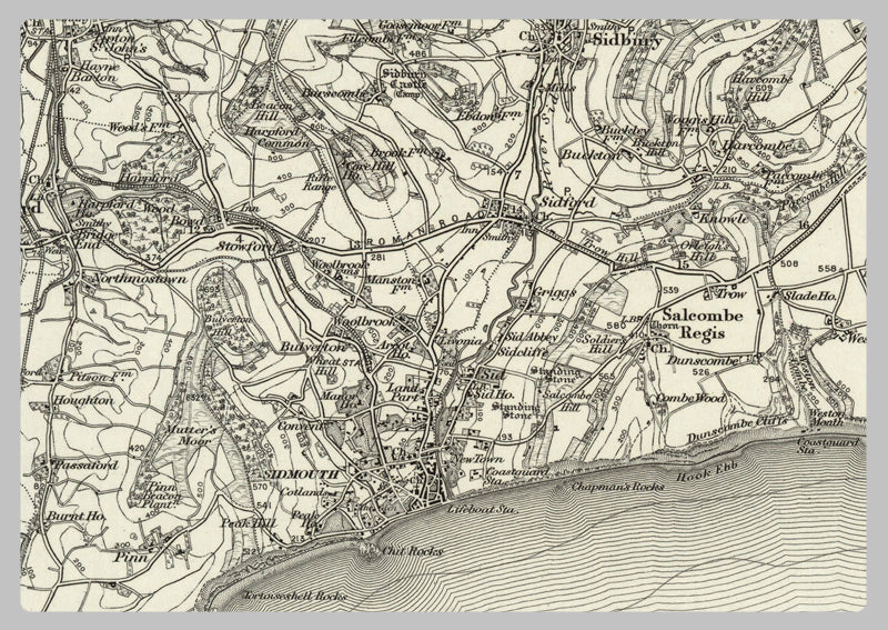 1890 Collection - Sidmouth (Wellington) Ordnance Survey Map