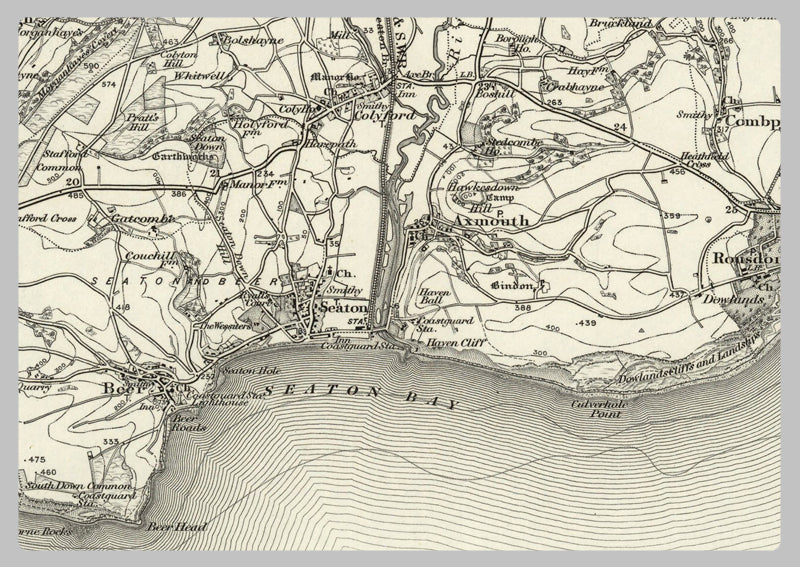 1890 Collection - Sidmouth (Wellington) Ordnance Survey Map