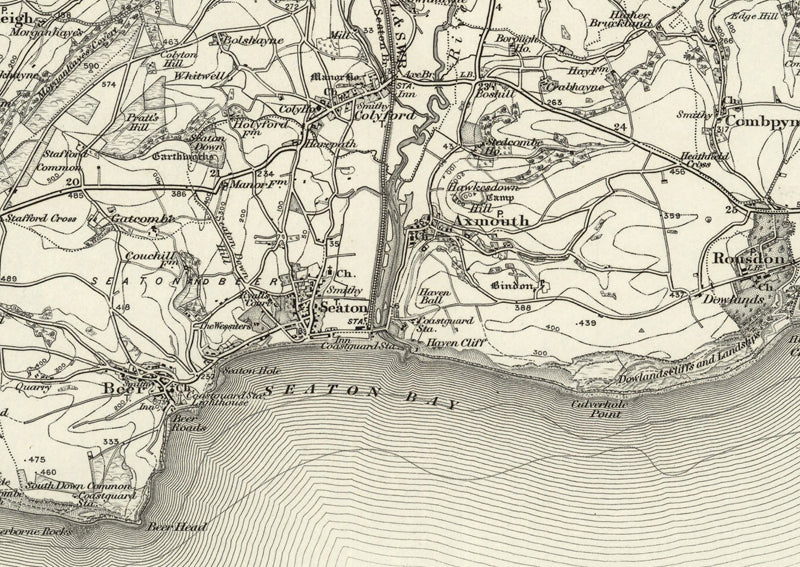 1890 Collection - Sidmouth (Wellington) Ordnance Survey Map