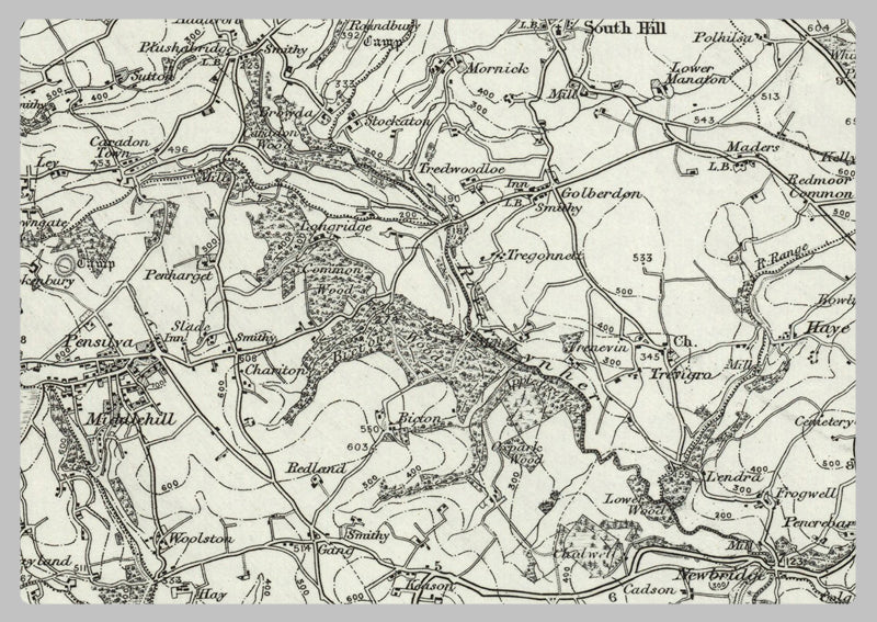 1890 Collection - Tavistock (Holsworthy) Ordnance Survey Map