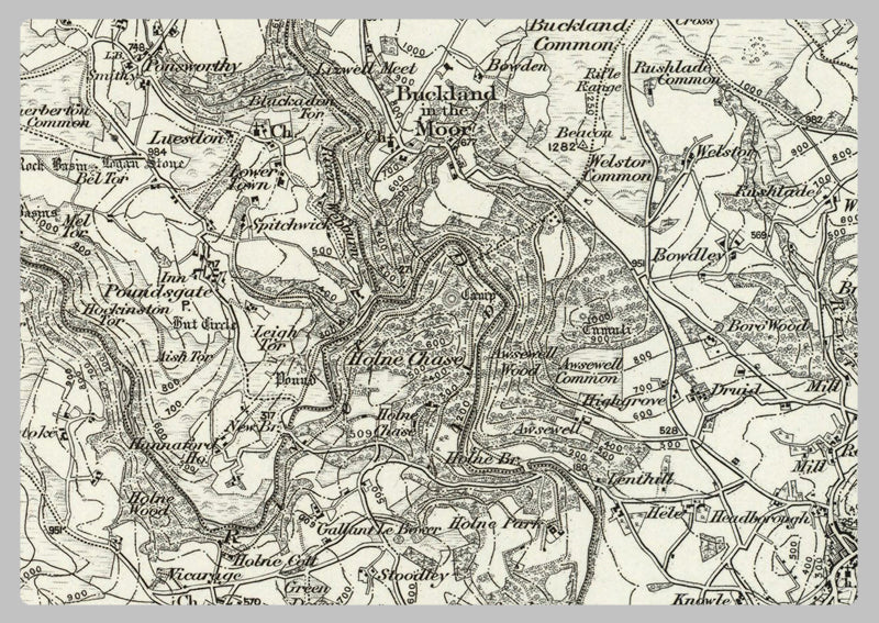 1890 Collection - Dartmoor Forest (Okehampton) Ordnance Survey Map