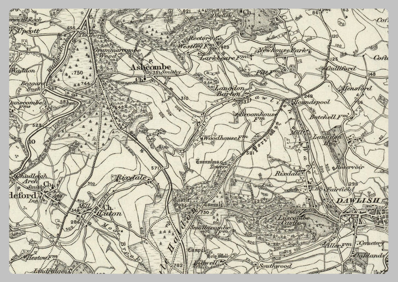 1890 Collection - Teignmouth (Exeter) Ordnance Survey Map