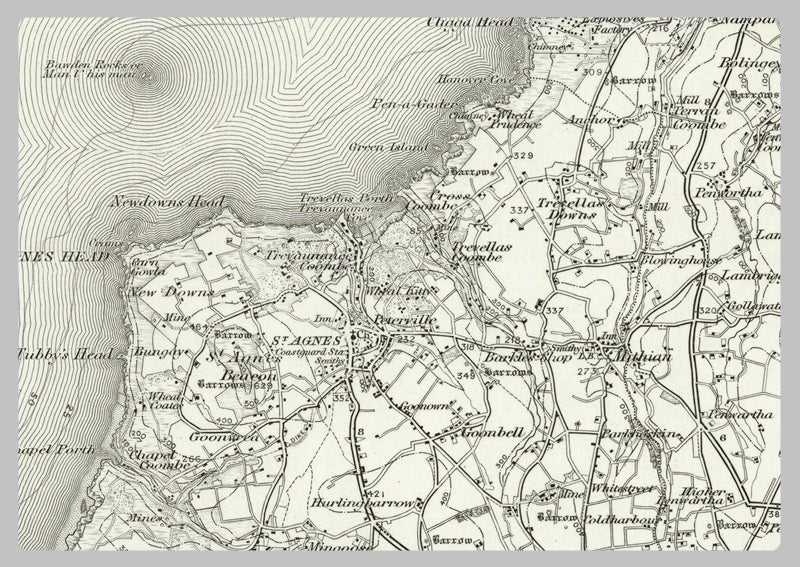 1890 Collection - Newquay (Trevose Head) Ordnance Survey Map