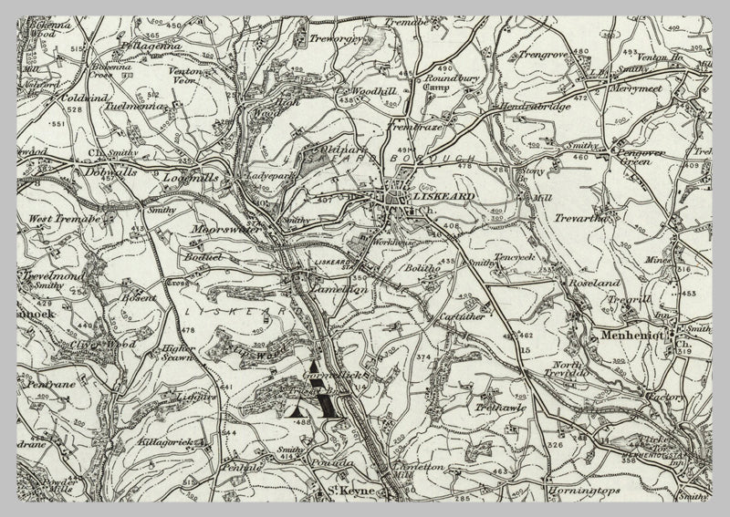 1890 Collection - Plymouth (Tavistock) Ordnance Survey Map
