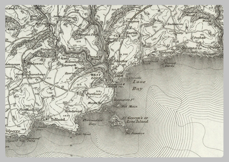 1890 Collection - Plymouth (Tavistock) Ordnance Survey Map