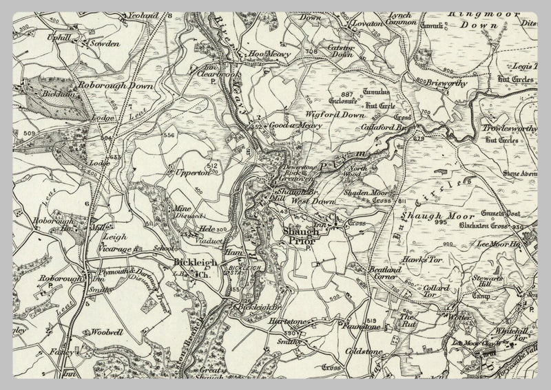 1890 Collection - Ivybridge (Dartmoor Forest) Ordnance Survey Map