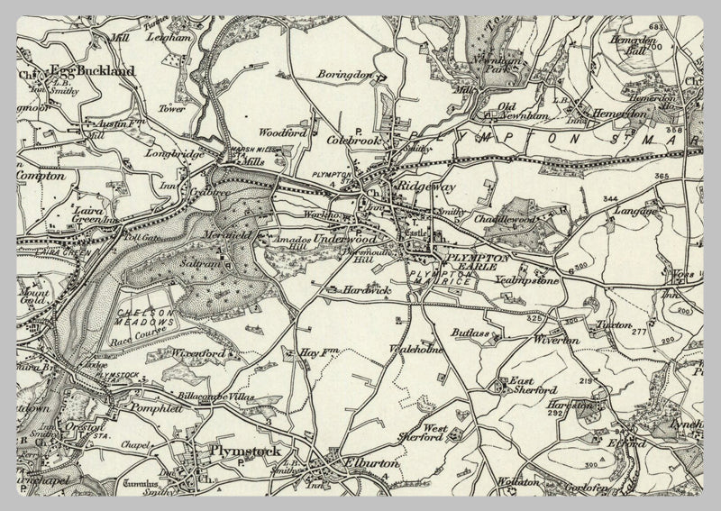 1890 Collection - Ivybridge (Dartmoor Forest) Ordnance Survey Map