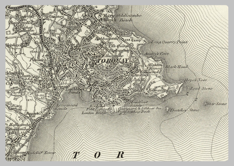 1890 Collection - Torquay (Teignmouth) Ordnance Survey Map
