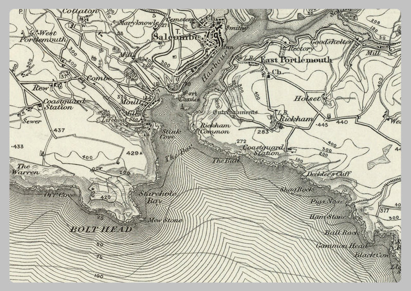 1890 Collection - Kingsbridge (Ivybridge) Ordnance Survey Map