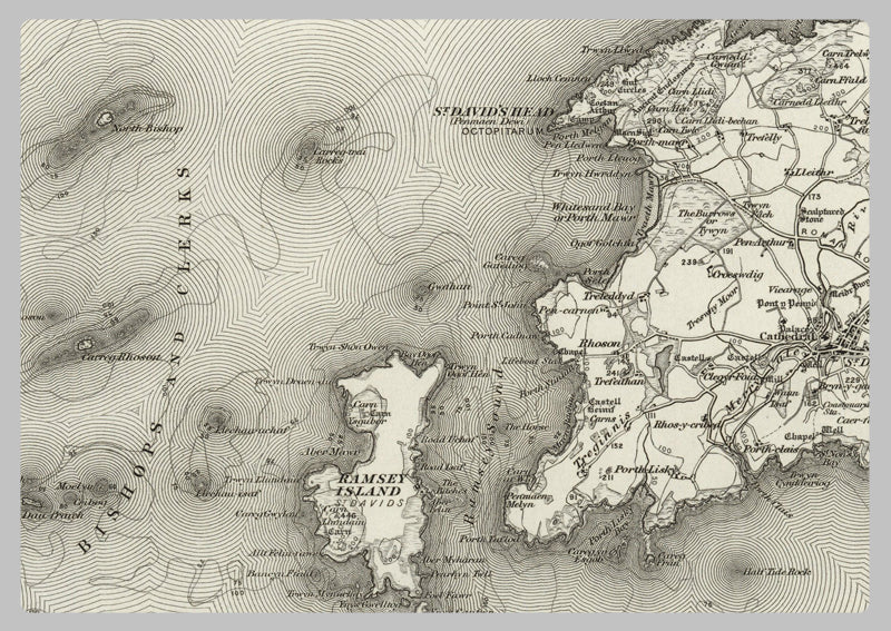 1890 Collection - St David's Ordnance Survey Map