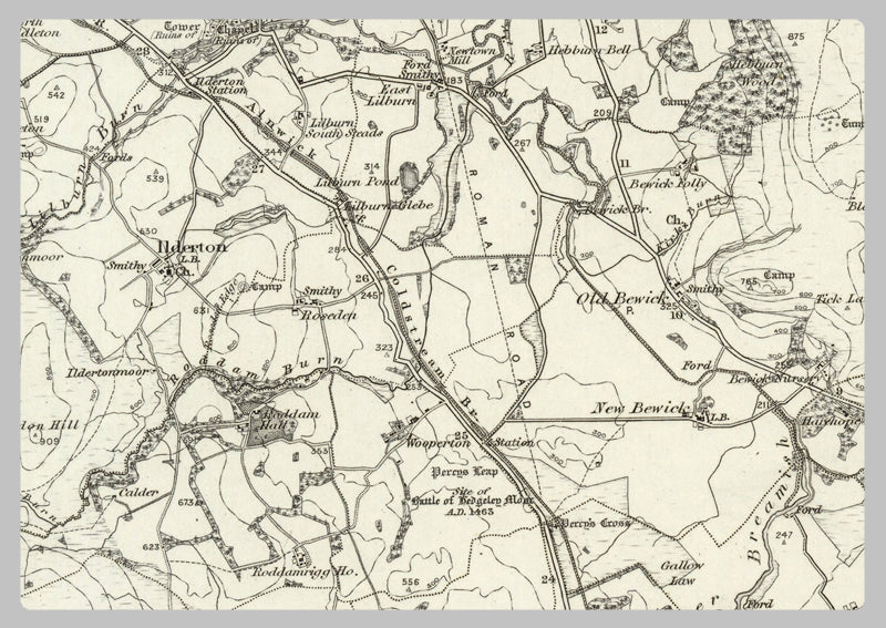 1890 Collection - Alnwick (HolyStand) Ordnance Survey Map