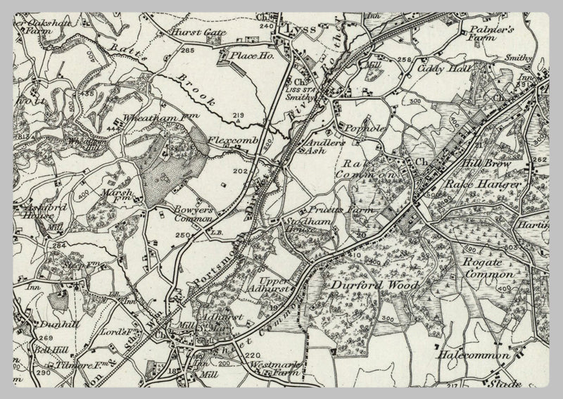 1890 Collection - Alresford (Basingstoke) Ordnance Survey Map