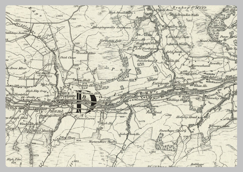 1890 Collection - Alston (Hexham) Ordnance Survey Map