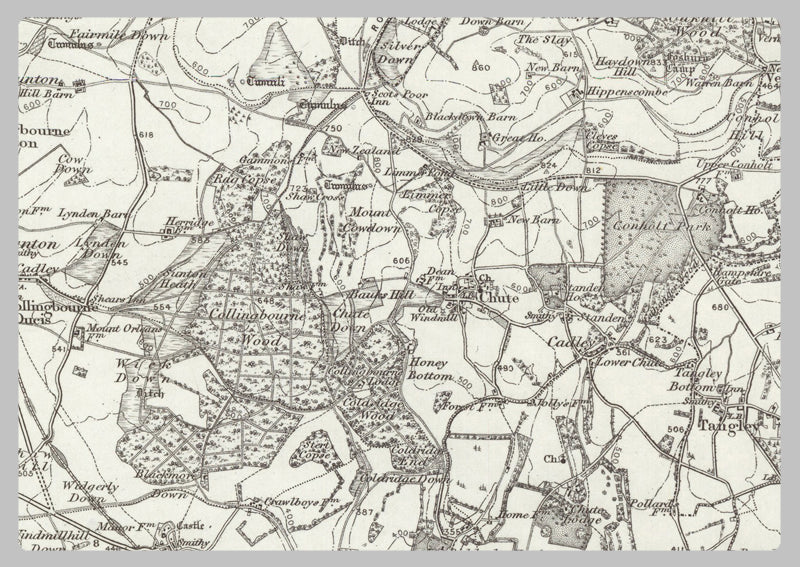 1890 Collection - Andover (Hungerford) Ordnance Survey Map