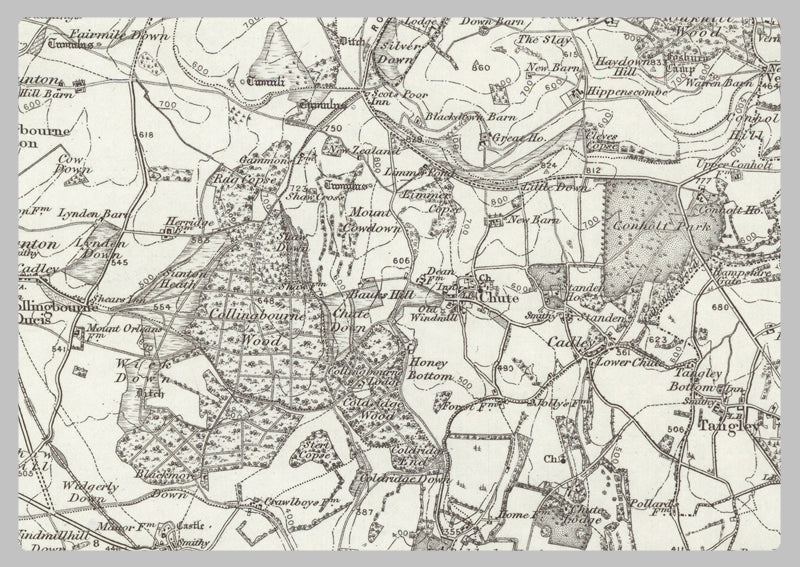 1890 Collection - Andover (Hungerford) Ordnance Survey Map