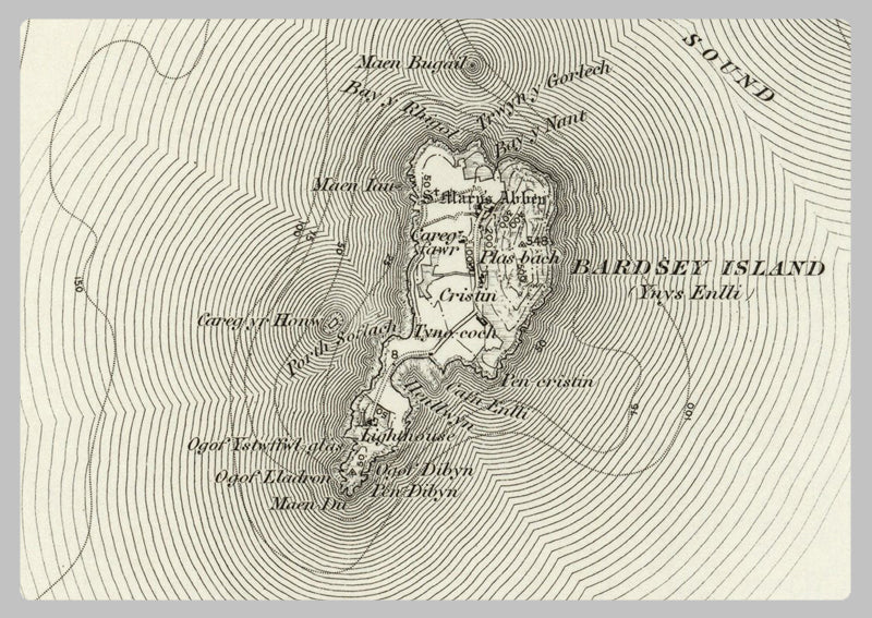 1890 Collection - Bardsey Island Ordnance Survey Map